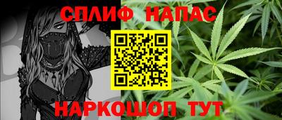 гидропоника Краснознаменск