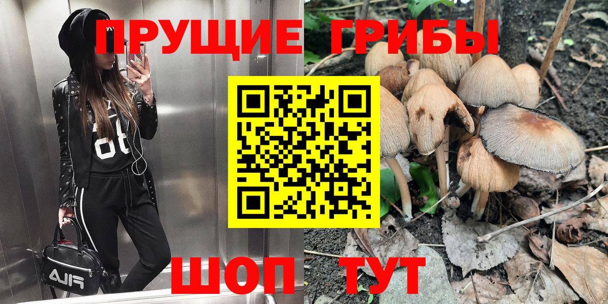 наркота  Вход с VPN  Будённовск  Галлюциногенные грибы GOLDEN TEACHER 