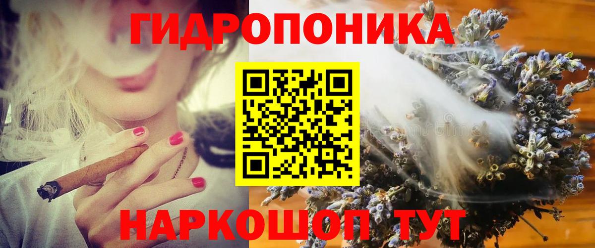 Бошки Шишки планчик  Шишки марихуана сатива  Будённовск  Вход с VPN 
